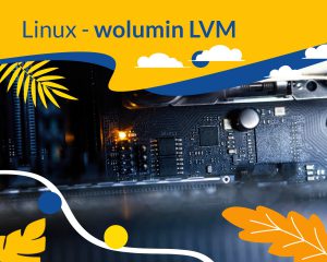 Linux wolumin LVM grafika