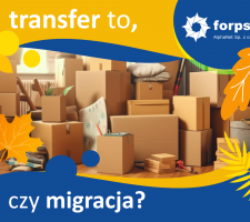 Różnica pomiędzy transferem domeny a migracją hostingu.