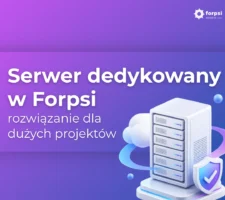 serwer dedykowany - rozwiązanie dla dużych projektów