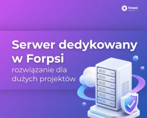 serwer dedykowany - rozwiązanie dla dużych projektów