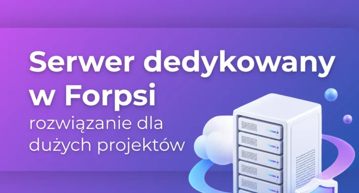 serwer dedykowany - rozwiązanie dla dużych projektów